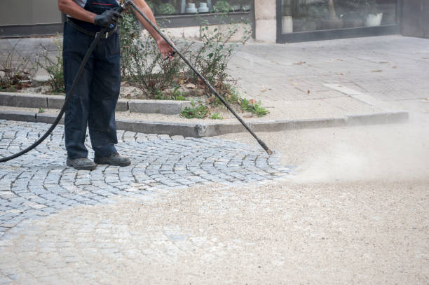 Best Sidewalk and Walkway Cleaning  in Rockvale, TN